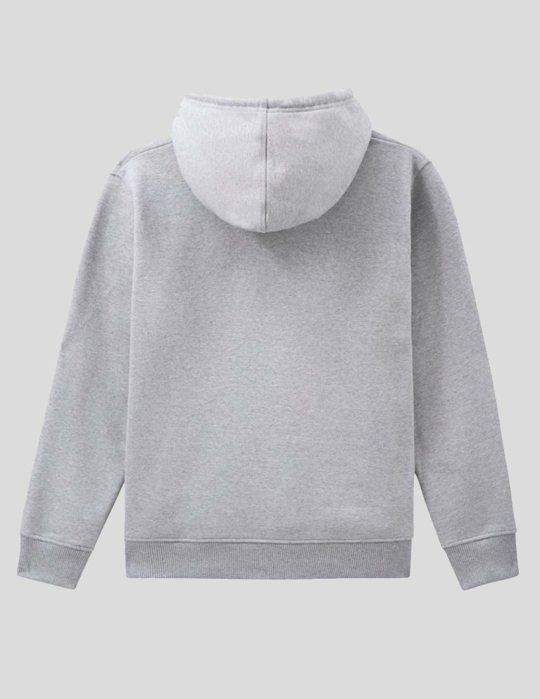 Sudadeira DICKIES icon logo hoodie grey melange